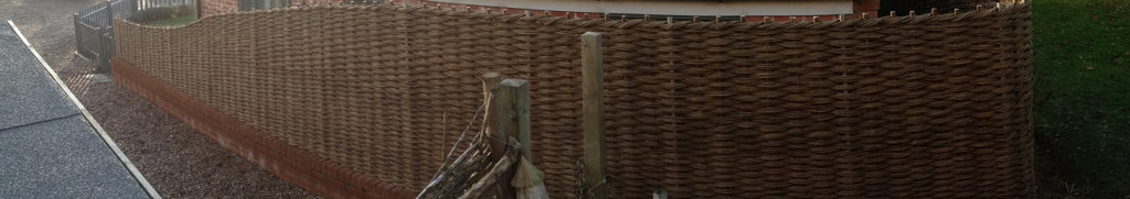 Will fencing in situ